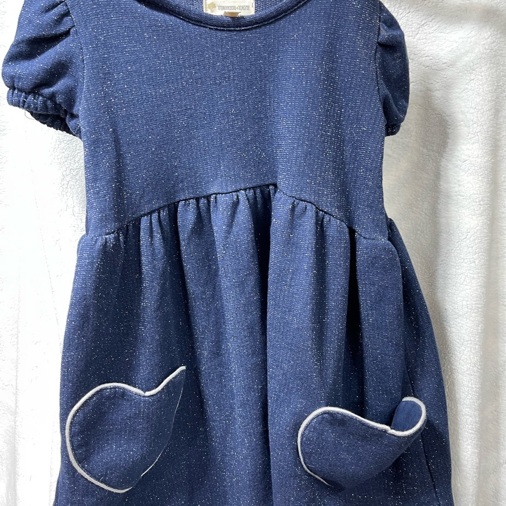 Tuckernuck Blue Casual Puff Sleeve Sundress